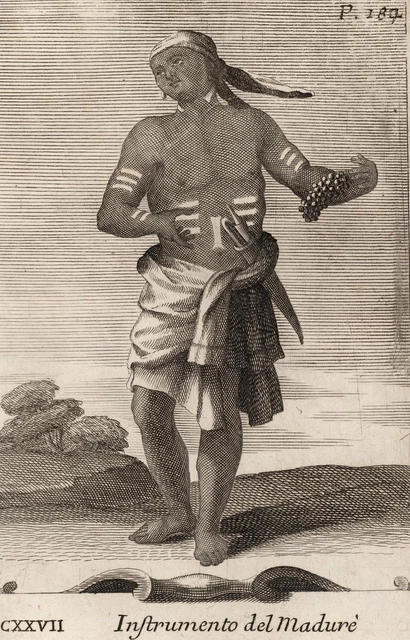 INDISCHE SCHELLEN - Bonanni - Westerhout - Kupferstich 1716