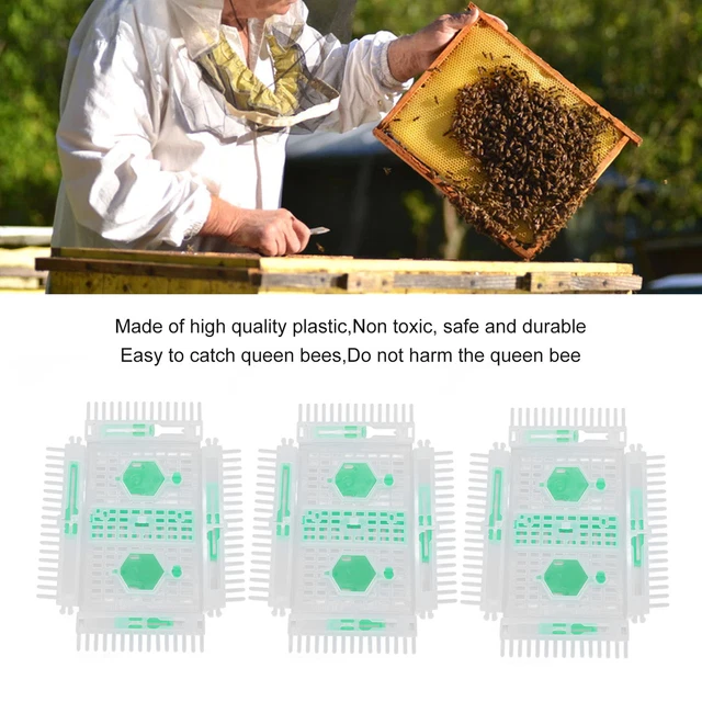 Bee Cage With Needle For Beekeeping Bee Cage Type For Beekeeping 3 Pieces Of