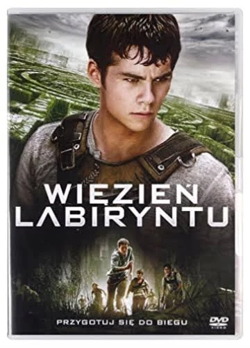 MAZE RUNNER [DVD] (English audio. English subtitles) [Region Free ...