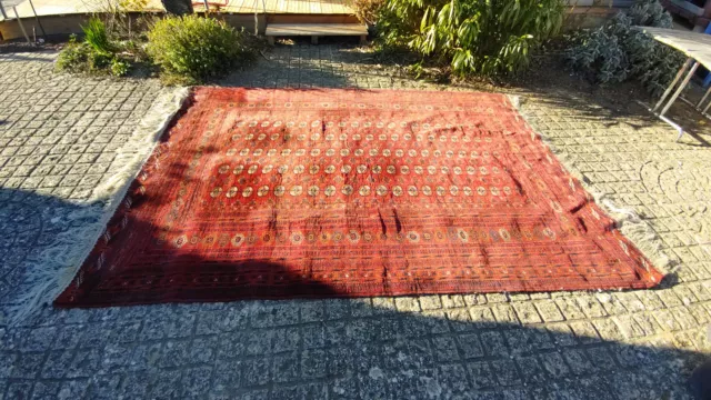 Ancien Tapis Afghan Fait Main en Laine