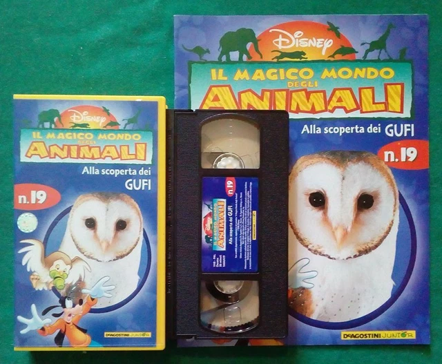 VHS FILM ITA Disney Magico Mondo Degli Animali N.19 Gufi +Fascicolo (V80) EUR 13,49 PicClick IT VHS FILM ITA Disney Magico Mondo Degli Animali N.19 Gufi +Fascicolo (V80) EUR 13,49 PicClick IT