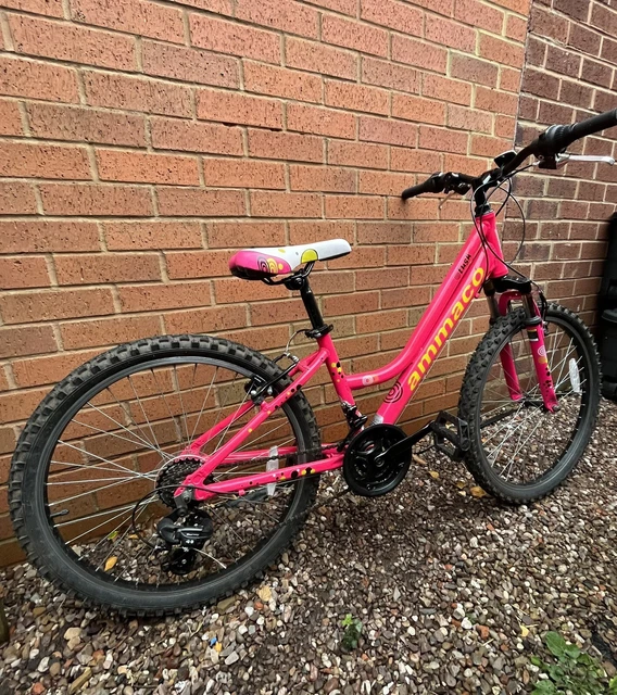 GIRLS BIKE AMMACO Lush 24 Inch Wheel Kids Mountain Bike Pink