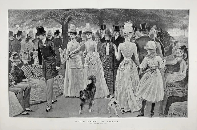 DOG Border Collie & Rat Terrier in London Hyde Park, Huge 1880s Antique Print