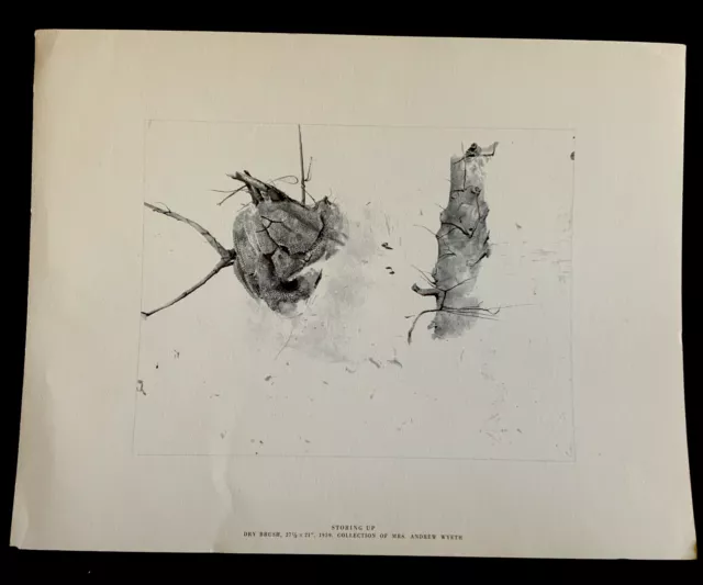 Andrew Wyeth "Storing Up” Print 17"x 13” From 1962 Four  Seasons' Portfolio Nice