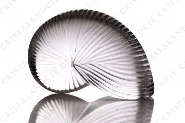 Coquillage Némo clair par Baccarat. Clear shell Nemo by Baccarat