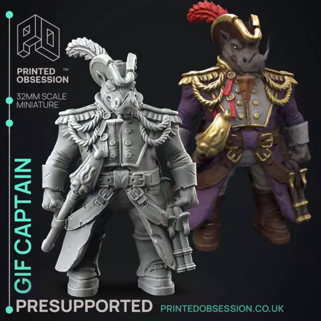 Gif Captain | Weird Shores | Miniatura Fantasy | Stampato Obsession