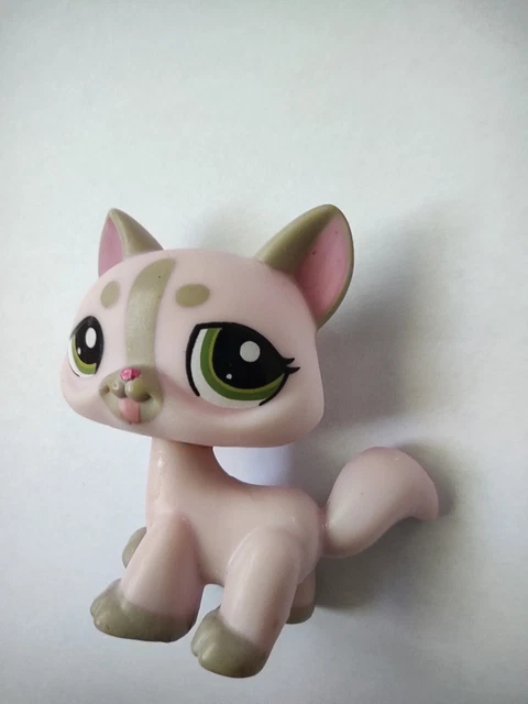authentic LPS 1326 PETSHOP chat maine coon cat kitty littlest hasbro pet shop