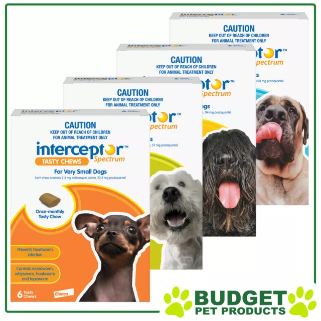 Interceptor Spectrum For Dogs 6 chews - All Sizes