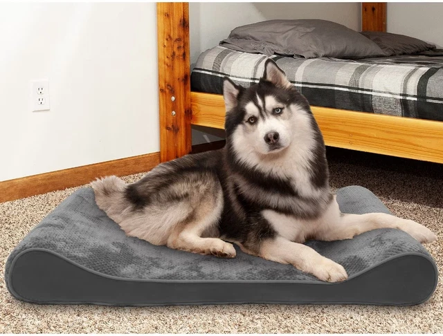 Jumbo  Minky Plush Luxe Lounger Memory Foam Dog Bed with Removable Cover