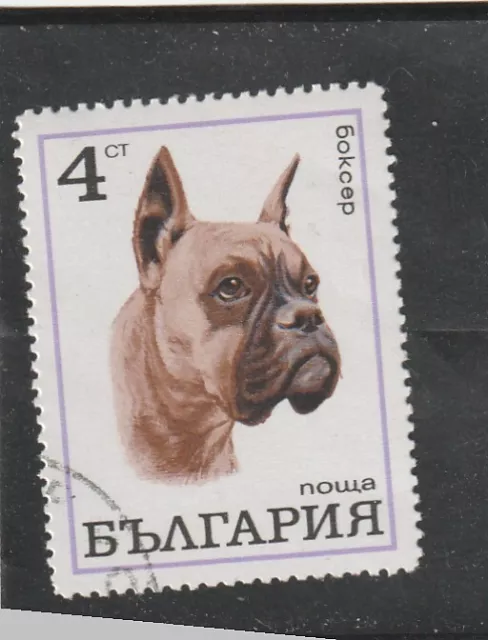 L5904 BULGARIE TIMBRE Y&T N° 1802 de 1970 " Chien Boxer " Oblitéré