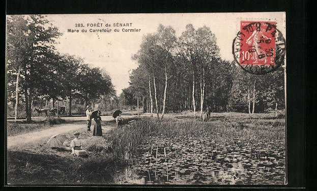 Carte Postale Ancienne - Foret De Lente - Vue Générale (Drôme 26)