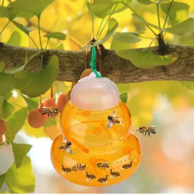 2Pack Wasp Trap -Wasp Bee Yellow Jacket Fruit Fly Hornet Trap Indoor Outdoor 3