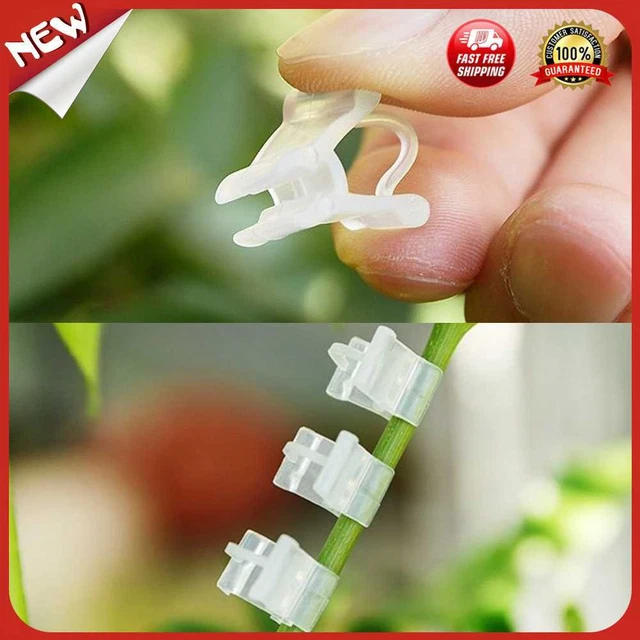 UK 100x Garten Saatgut Pfropfclips Gartenarbeit Gemüse Blume Pflanze Unterstützung C