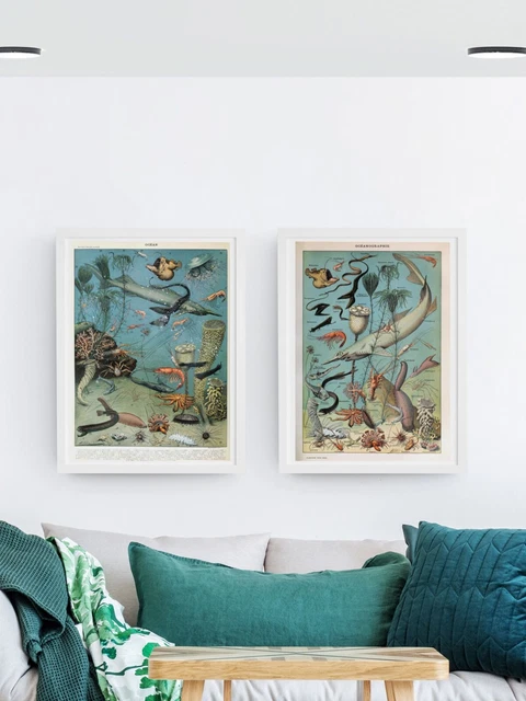 Set of 2 Adolphe Millot Vintage Ocean Sea Life Natural History Prints, Posters
