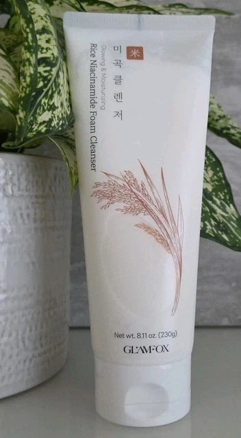 wo bekomme ich frische aloe vera Aloe vera (Echte Aloe) kaufen main image 1