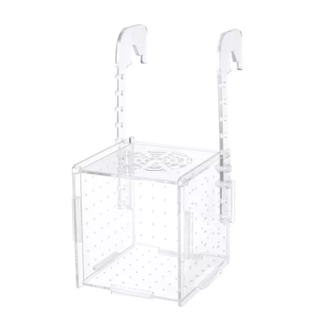 Garnelen Zucht Box Aquarium Inkubator Aquarium Birthing Tank