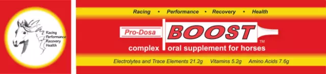 Pro-Doser Boost Paste 80mls Complex Oral Supplement Horses Equine Health Farming