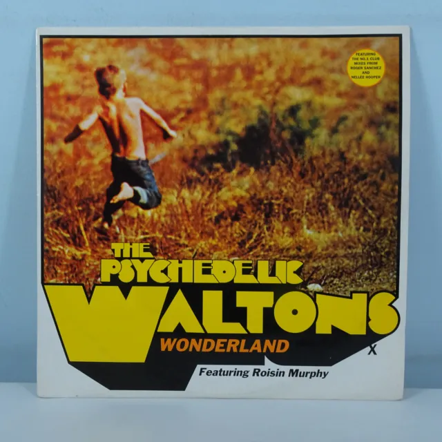 The Psychedelic Waltons / Roisin Murphy Wonderland 3 Track MOLOKO 12" VINYL EX