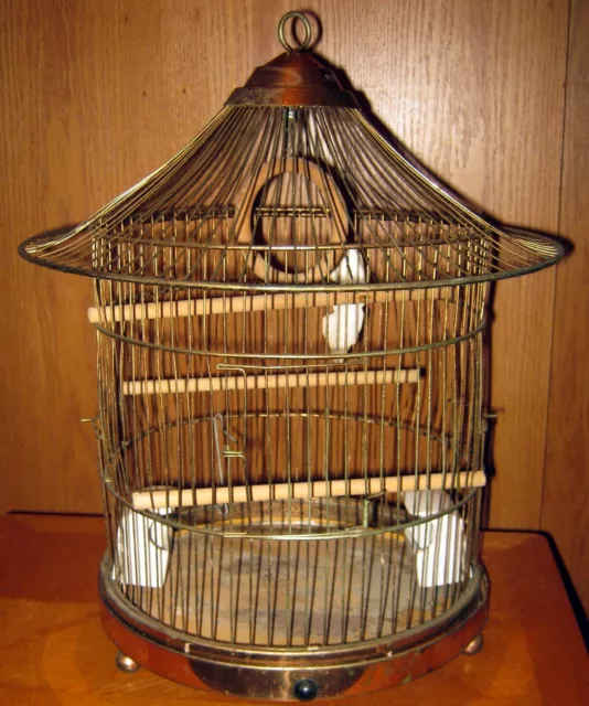 Lovely Antique Brass Bird Cage Pat. Dates 1869, 1872, 1881 Original Feeders  Nice