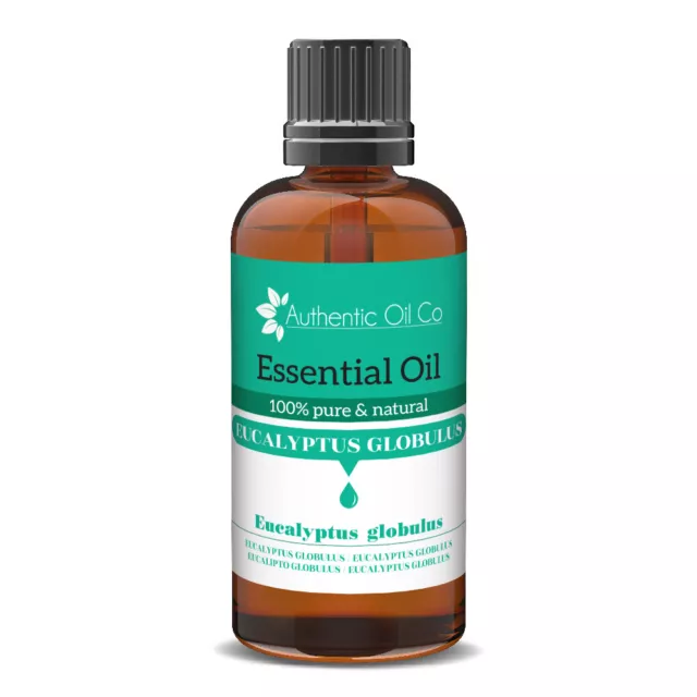 Eucalyptus Essential Oil Pure Natural Aromatherapy