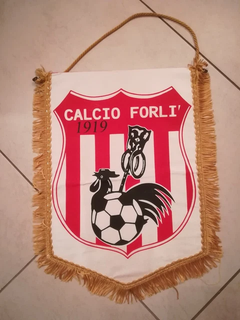 File:Fiorentina Campione d'alia 1955-1956.JPG - Wikipedia
