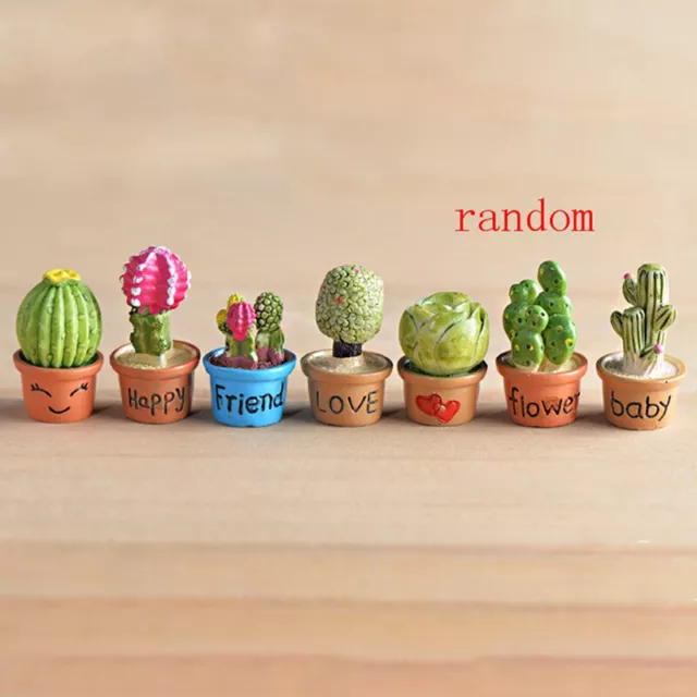 DIY Mini Miniature Fairy Garden Ornament Decor Pot Craft Cactus Accessorie'mj