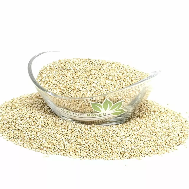 Semi di quinoa essiccati spezie sfuse biologiche, semi di quinoa Chenopodium