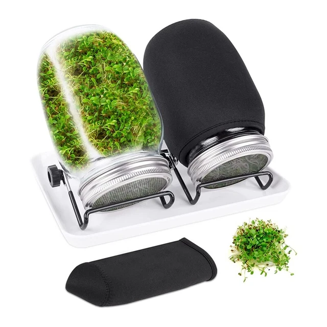 Barattoli per la germinazione – accessori per la coltivazione dei germogli | microgreen