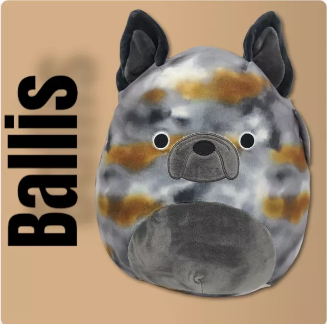 Squishmallow 12" Ballis Bulldog Soft Brindle Puppy Pet Plush BNWT Free Ship