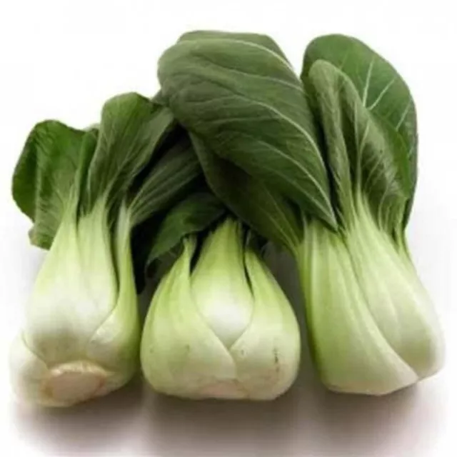 1.000 Graines PAK CHOI variété CANTON Bok Choy Mini Chou chinois non traitées 2