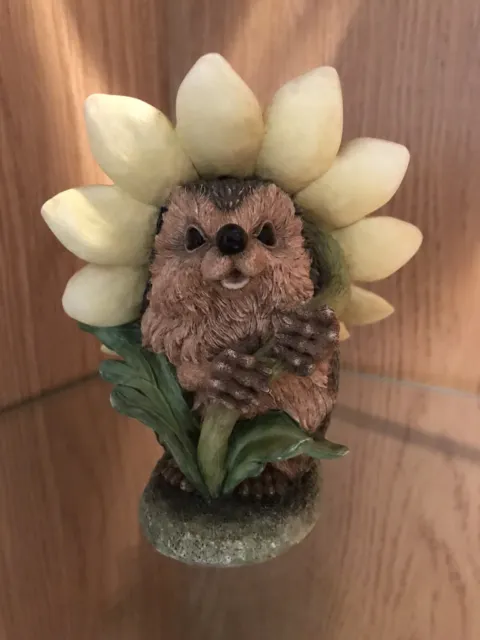 Country Artists Hedgies Blossom