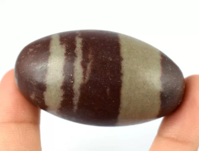 62.03 Gram/2.04 Inch Narmada River Shiva Lingam Natural Stone Crystal Healing