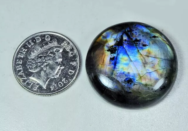 80Cts. Natural Multi Flash Labradorite Round Cabochon Piedra preciosa...