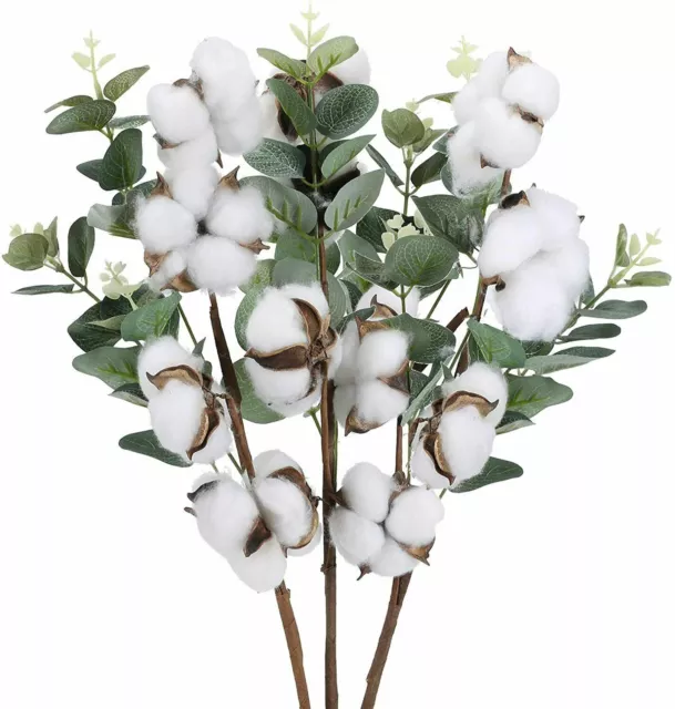 Cotton Flowers Dried Cotton Stems 4 Cotton Heads Eucalyptus Stems Artificial