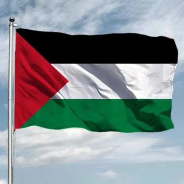 Drapeau Palestine 3x5 Pieds (90x150 Cm) - Polyester Qualité Extérieur - Œillets Laiton - Double Couture - 12