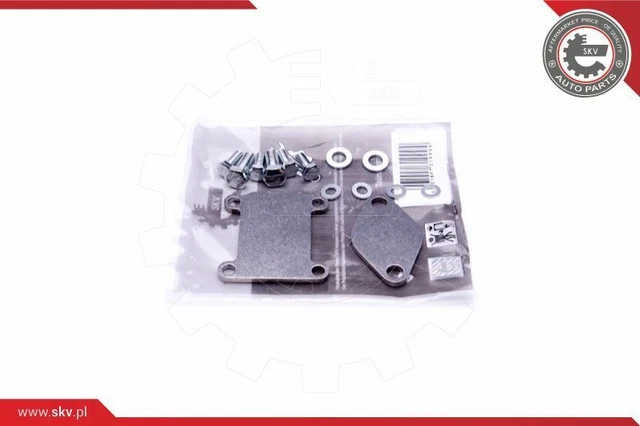 Kit Riparazione Valvola Agr per Alfa Fiat Lancia Opel Saab 166+156+159+02-15