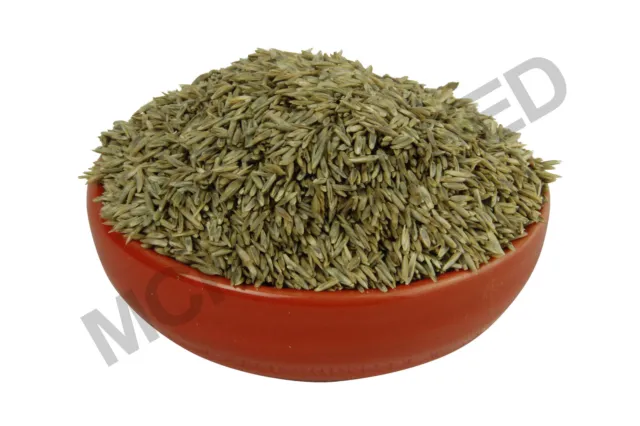 McKays Budget Grass Seed Cheap Grass Seed Bulk Grass Seed 5kg 10kg 20kg 2