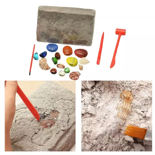 Dr. Daz -18 pierre precieuse et minéraux naturels-Kit d'excavation  Jumbo-jouet fille & garcon 6 ans : : Jeux et Jouets