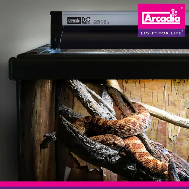 Arcadia Pro T5 Uvb Kit 24 Watt Reptiles Lampe 6% Uv-B 2