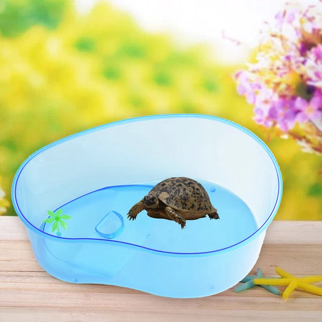 Fish Tank Ventilated Portable Mini Fish Tank Turtle Habitat Container Multi-size
