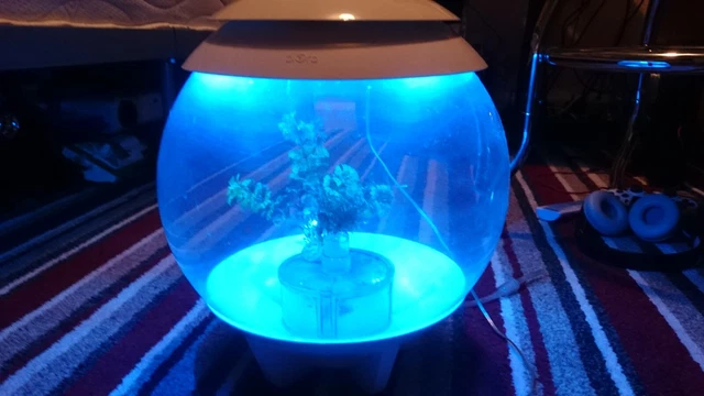 biorb fish tank,with colour changeing light,pump,filter,good con,with remote.