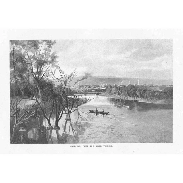 AUSTRALIA View of Adelaide from the River Torrens - Antique Print 1888