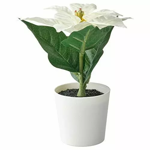IKEA FEJKA Artificial Potted Plant with Pot, in/Outdoor Poinsettia White 6cm