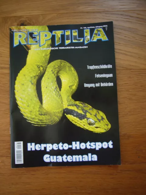 REPTILIA Nr. 166 elaphe Marginata aktuelle Ausgabe