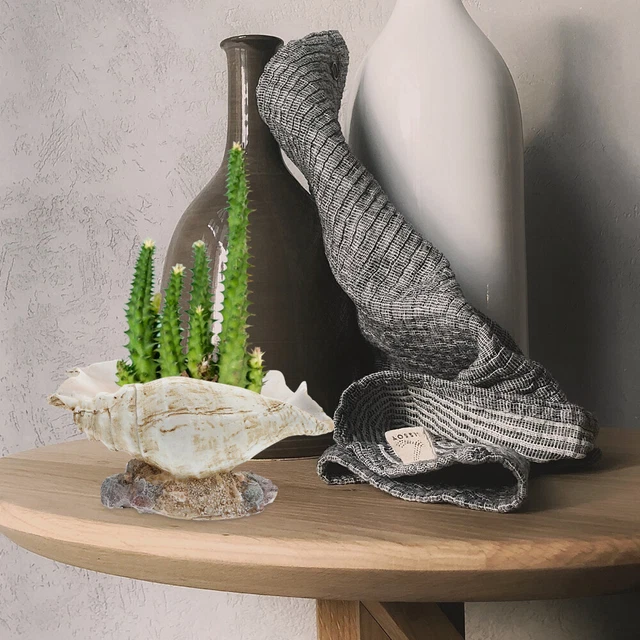 1pc Conch Blumentopf Conch Sukkulenten Topf Conch Shell Figurine 7