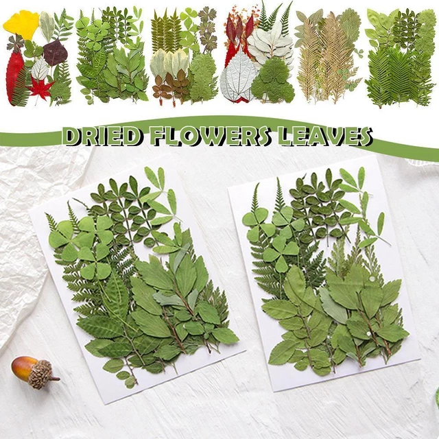 1 bolsa de flores secas prensadas relleno para joyería epoxi resina artesanal W2B3