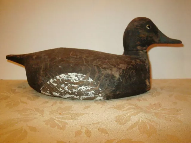 Vintage Blue-Bill Drake Duck Decoy, Ontario-D106