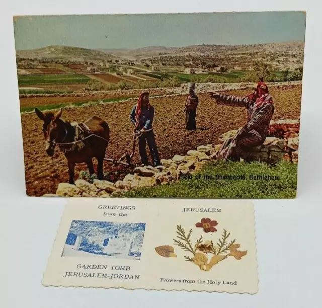 Vintage Jerusalem Flowers Card & Card with Soil from the HOLY LAND 1966