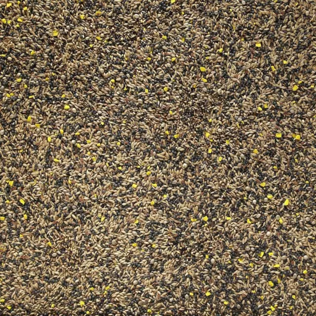 Johnston & Jeff Favourite Canary Mixed Bird Seed Food 20kg FREE & FAST DELIVERY 2