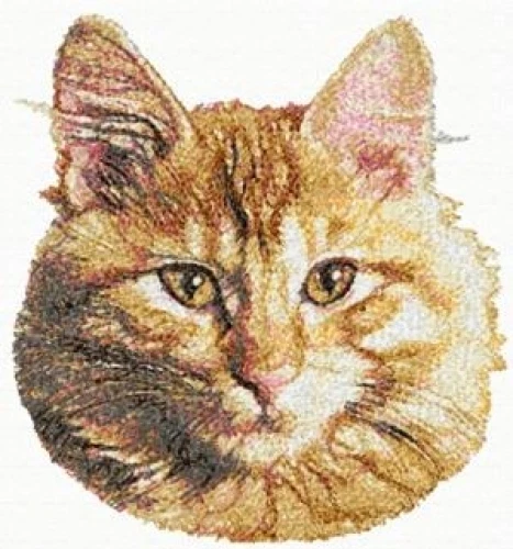 Embroidered Sweatshirt - Maine Coon Cat AED16356 Sizes S - XXL